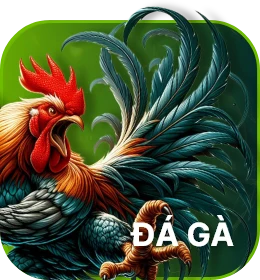 đá gà pic